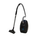 Rowenta RO 4931 EA Green Force Max