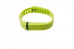 Fitbit Flex