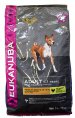 Eukanuba Adult Medium Breed