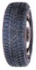 Nokian WR (195/65 R15)