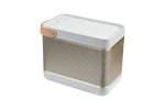 Bang & Olufsen Beolit 15