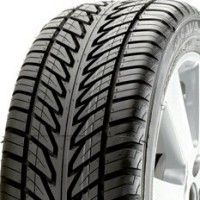 Sava Intensa W (225/45 R17)